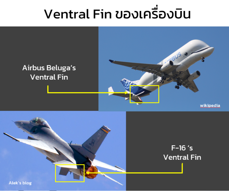 dorsal-fin-ventral-fin-aexotic-aerobotics